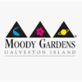 (105) Moody Gardens "Wild Things" Kids Birthday Package item