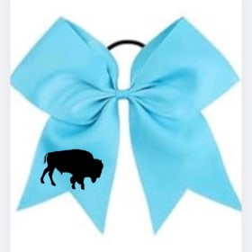 House Color bows item