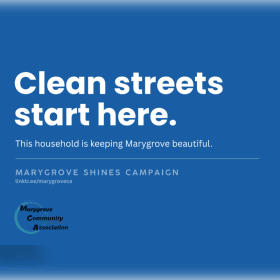 Clean Streets item