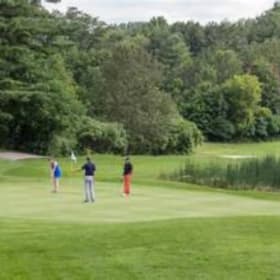 Foursome o80f Golf with Carts at Horseshoe Valley Resort item