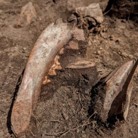 One (1) day Adult Archaeology Dig Camp item
