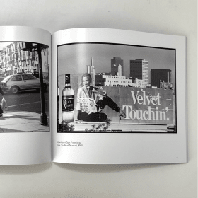 Alternative Voices 1980s Punk San Francisco by Jeanne Hansen item