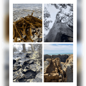 Nature in landscapes item