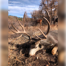 Unit 711 Mule Deer — Private Land Rut Hunt item