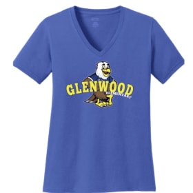 Women's V-neck Shirt- (sz: S-XL) item