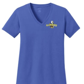 Women's V-neck Shirt- (sz: 2X-3X) item