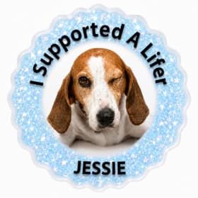 Coasters for Lifer Jessie item