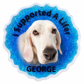 Coasters for Lifer George item