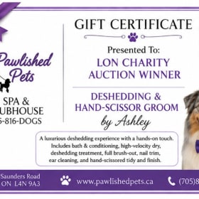 Deshedding and hand-scissor groom by Ashley (Copy) item