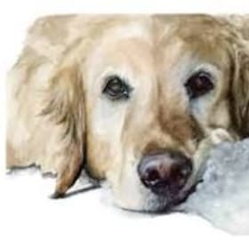 Jill Weston Custom Dog Portrait item
