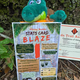 Photo of Blaze Adoption Package