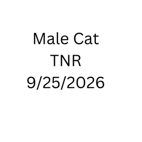 TNR - Male Cat neuter 9/25/2026 item