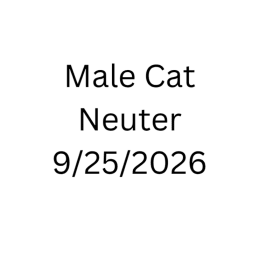 Male Cat Neuter - 9/25/2026 item