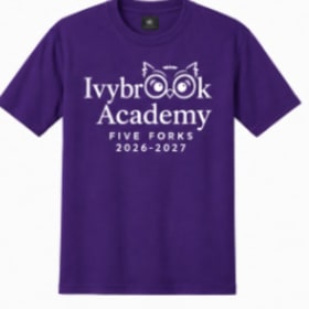Children's Color Shirts- Purple item