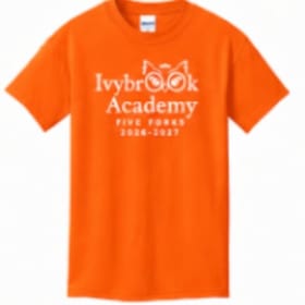 Children's Color Shirts- Orange item