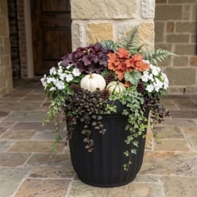 Mixed Plant Container - medium item