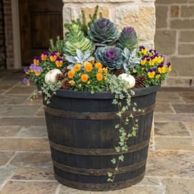 Mixed Plant Container -large item