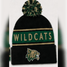 Black Wildcat Beanie item