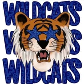 Photo of Wildcats X3- Adult