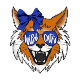 Photo of Wildcat w/ Bow & Glasses- Adult