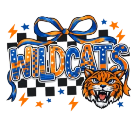 Photo of Orange/ Blue Bow Wildcats- Youth