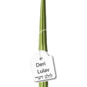 Upgraded Lulav item