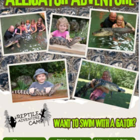 Alligator Adventure Program item