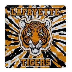 Photo of Tigers Blanket
