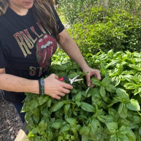 Fresh Herbs item