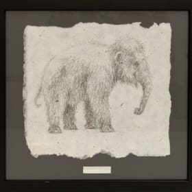 Woolly Mammoth Calf #3 item