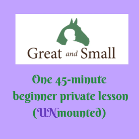 45-Minute UNMOUNTED horsemanship lesson item