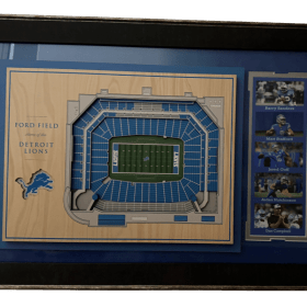 "Detroit Lions" item
