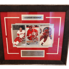 "Redwings Collage" item
