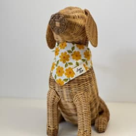 Photo of Bandana