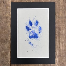 Swiper the Fox Paw Print Original item
