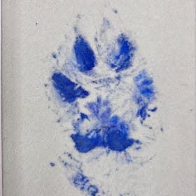 Swiper the Fox Paw Print Original item