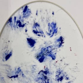 Swiper the Fox — Original Paw Print Cluster #2 item