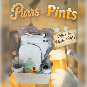 Picnic Party item