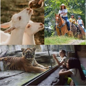 Animal Lovers Basket! Tailride + Animal Greet + Zoo! item
