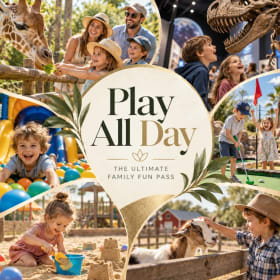 Play All Day: The Ultimate Family Fun Package item