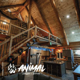 Séjour festif au chalet Animal - Chaletô item
