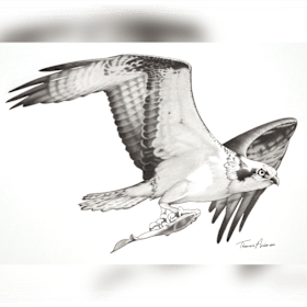 2024 Running is for the Birds Artwork item