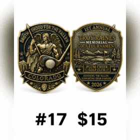 Photo of 17. 2026 GT Coin