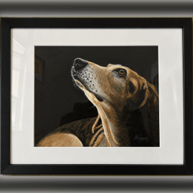 Photo of Illuminated Loyalty by Mary Rhodes