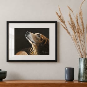 Photo of Illuminated Loyalty by Mary Rhodes