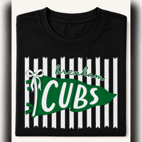 Photo of Cubs Pennant