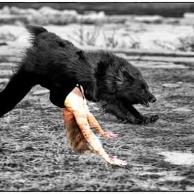 “Downward Dog” a collage by Brenda Kelly item