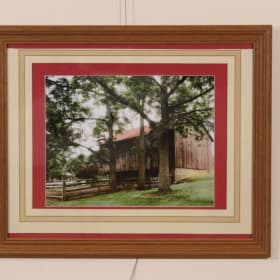 Weathered and Rooted - Framed Photography item