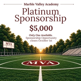 Platinum Sponsor - Only 1 available item