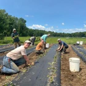 2027 CSA: Whole Workshare, June-Nov item
